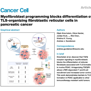 785-TGFβ通过重塑成纤维细胞阻碍胰腺癌三级淋巴结构形成