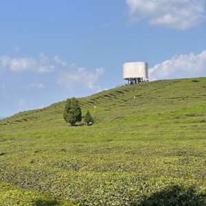 13. 景德镇的过去与现在（下）：艺术在浮梁，美食在江西，而我在上海，思考什么时候回家
