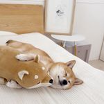秒变黑猫