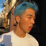 willee1yt