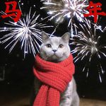 陆昕的菠萝豆醉可爱