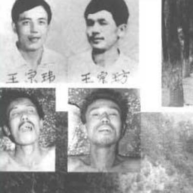 19.冷血恶魔：东北二王案件
