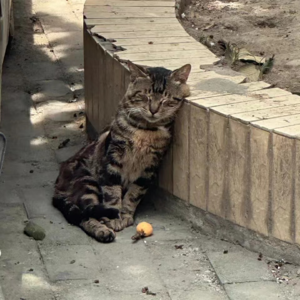 Y08:你的性格就是属于你的报应