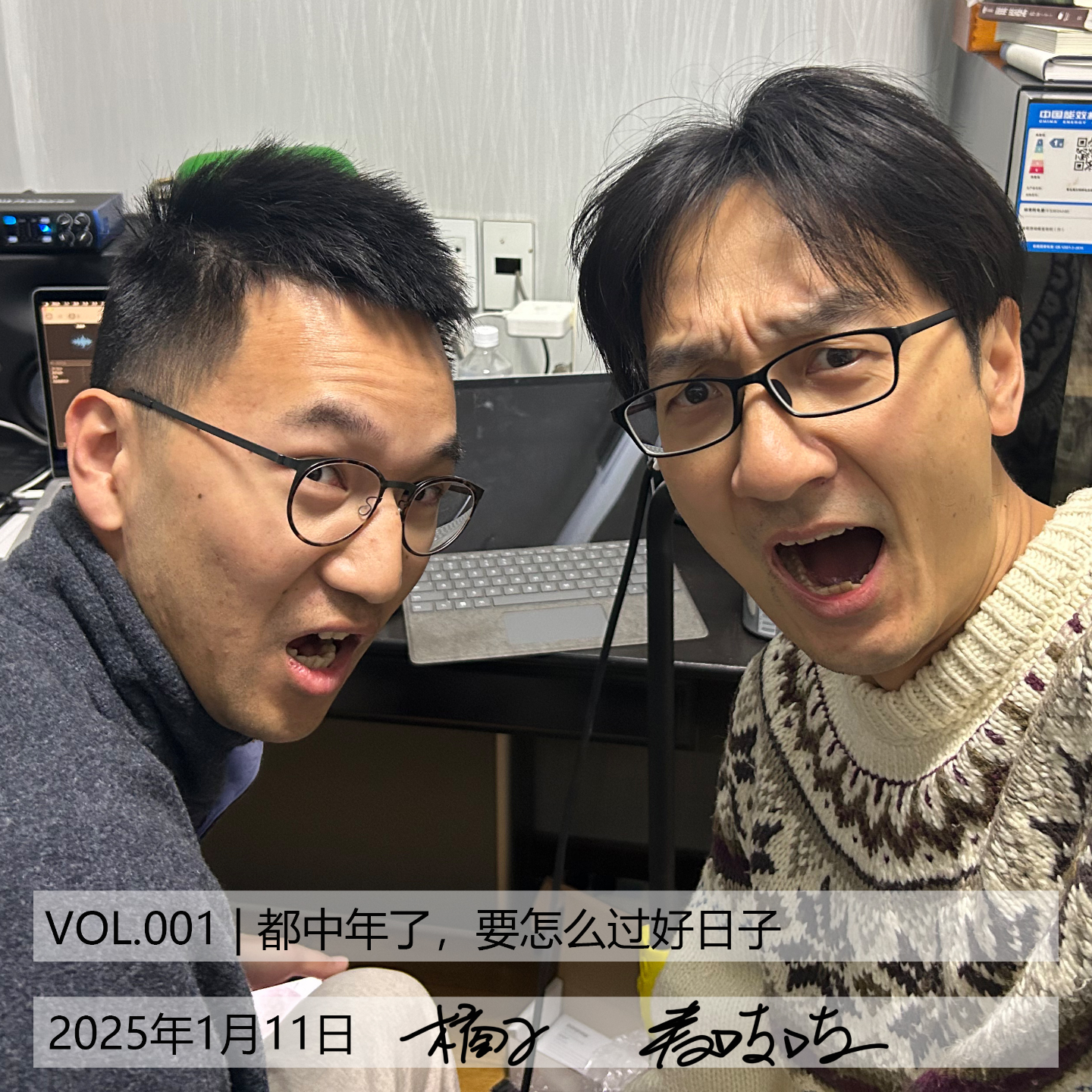 VOL.001 | 都中年了，要怎么过好日子 episode artwork