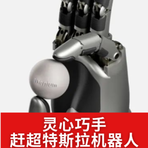 第509集 灵心巧手赶超特斯拉机器人