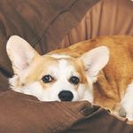 航航出状元XD