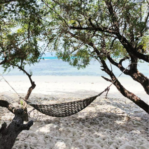 启鸣的文字 001｜🌕帕岸岛满月派对的思索☞国外维权经历