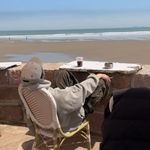 我司柏林圆圆的小脑袋