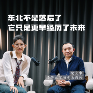132 对话宋念申（下）：东北不是落后了，它只是更早经历了未来
