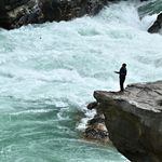 江苏盐城陈嘉成