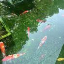 小小小小白_yOEo