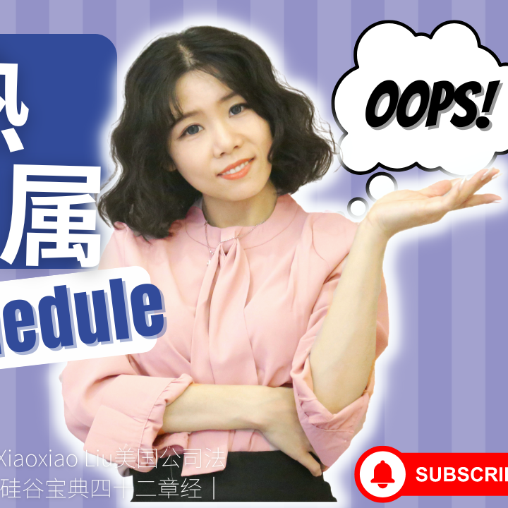 cover of episode 【硅谷宝典四十二章经（6）】Vesting Schedule（成熟期/归属期）不一定就是期权