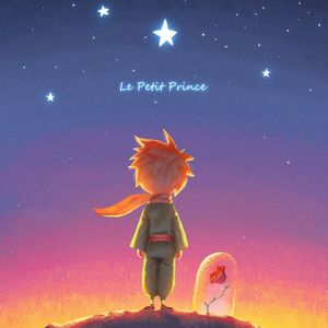 小王子 le petit prince