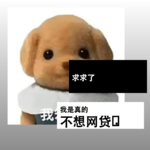 求求了，我是真的不想网贷🙏