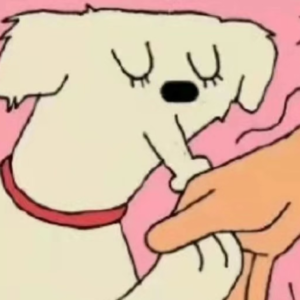 舔狗,真的舔到最后一无所有吗?