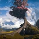 英文解忧杂货店