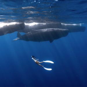 Ep.25 真人版兔朱迪-我在新西兰当警察