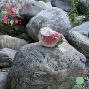 010 人类需要在夏天放假！