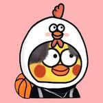 中国最后一个ikun