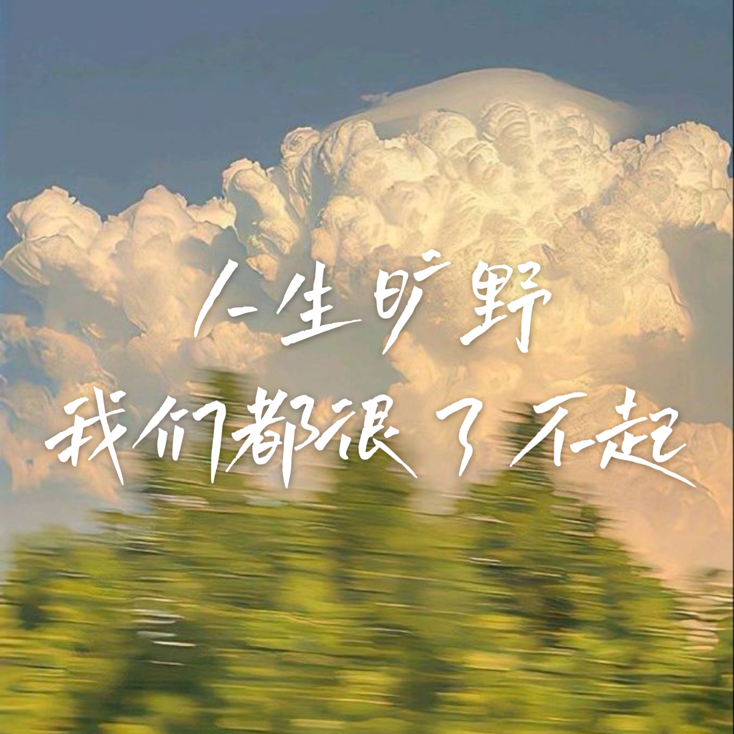 01 人生是旷野，不是轨道 | 我们决定从这里开始 episode artwork