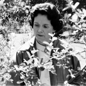 蕾切尔•卡逊：寂静的春天为何寂静？