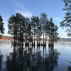 podcaster-avatar