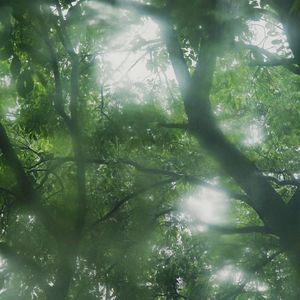 podcaster-avatar