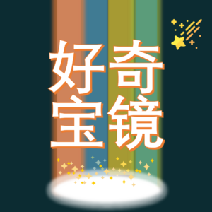 003 宏大叙事的注脚是意想不到-前流量记者讲故事