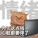 一个敏感脆弱的设计师