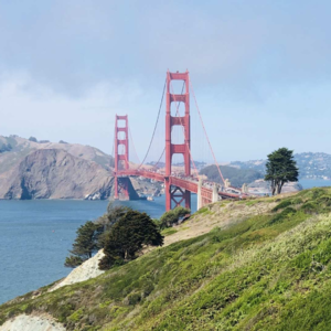 EP10｜纽约 VS 湾区：从纽约到湾区，在哪里都会有自己的生活方式 feat.树树