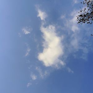 双胎胎教到早教记录Amy
