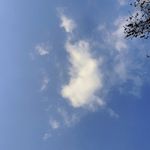 双胎胎教到早教记录Amy