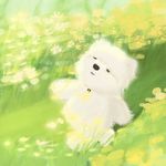 温茶青盏寄浮生
