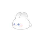 小王妃jj