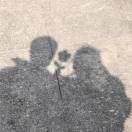 摘月亮的星星_JNRW