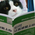 编号十七