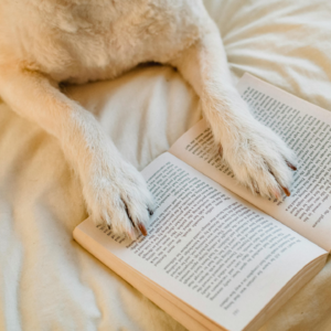 《菜根谭》Vol 4 修身篇