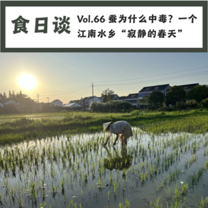 蚕为什么中毒?一个江南水乡“寂静的春天”| Vol.66