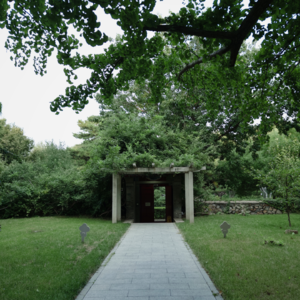 08｜在卷与躺之间，延迟的和解与体谅【北大家庭相册(2)】