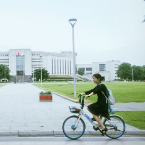 开篇发愿：多分享多助人