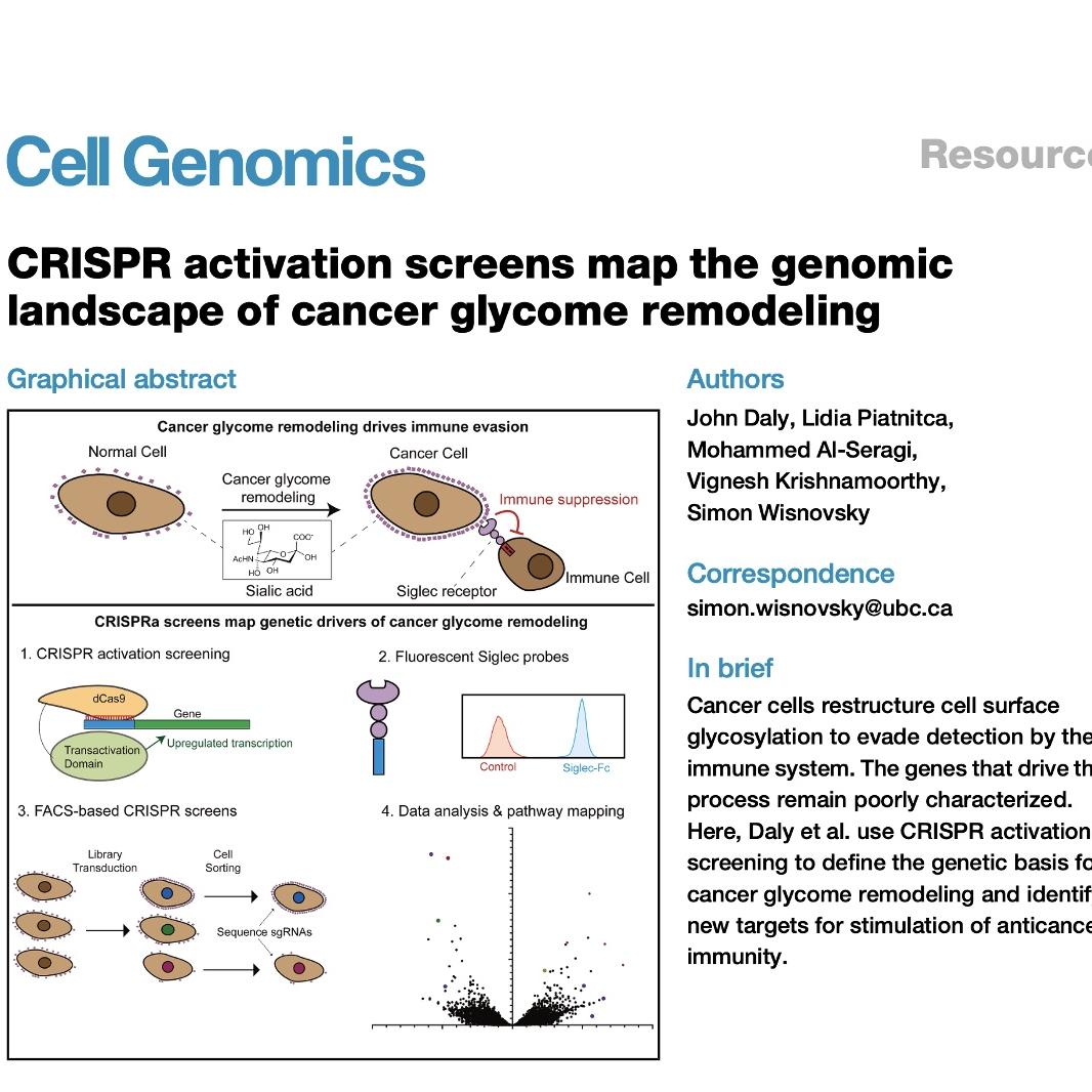 1083-CRISPRa Mapping of Cancer Glycome and Immune Evasion episode artwork