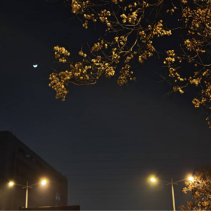 Vol.6 ¾电台丨这就是晚自习效应吧！