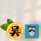 wuqin