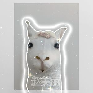 赵美丽的朋友们