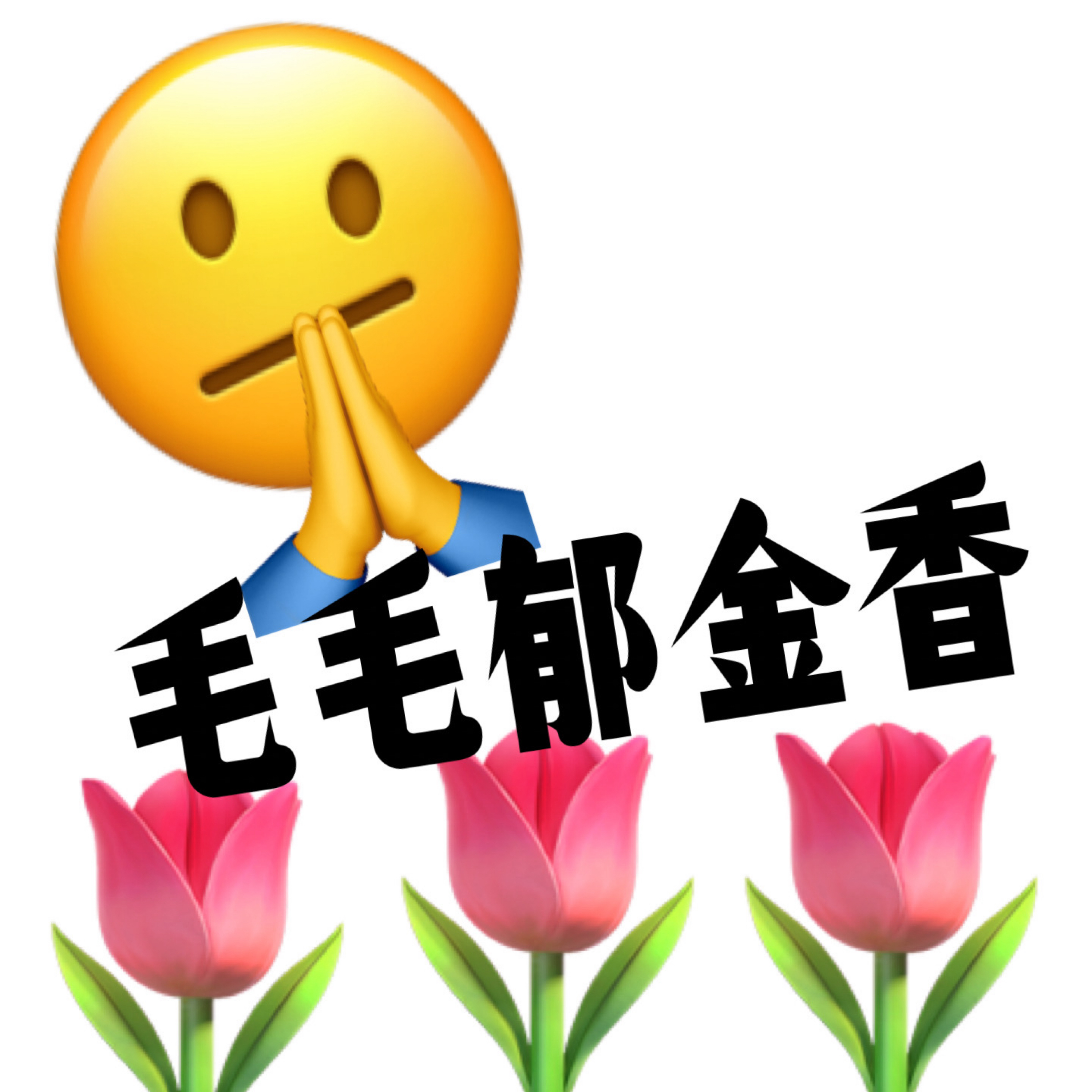 logo of podcast 毛毛郁金香