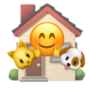 No.19-1毛孩子不只是“宠物”，而是我们亲自选择的家人