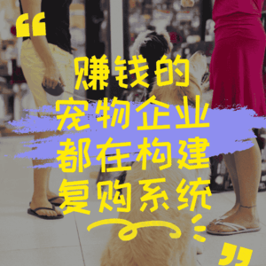 赚钱的宠物企业都在构建复购系统