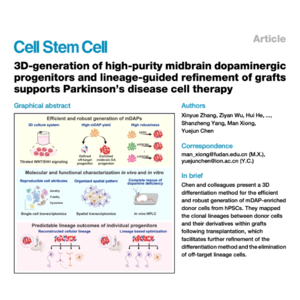 236-SphereDiff for Parkinson's Cell Therapy