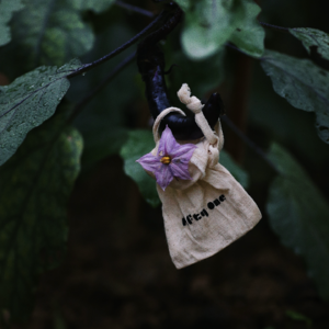 01｜新年，唤醒心灵的香氛冥想之旅