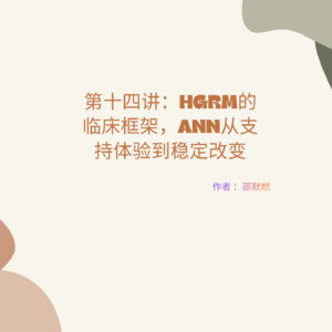 第十四讲:HGRM的临床框架,Ann从支持体验到稳定改变